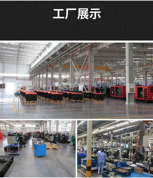 大泽动力12千瓦柴油发电机 安防系统不间断运行的坚实后盾